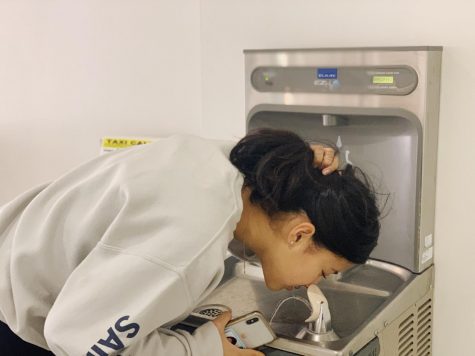 How ASIJ is Becoming a More Sustainable School