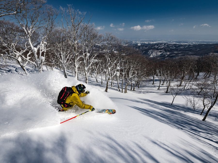 Hanabi Ski image - Annmarie Hashimoto