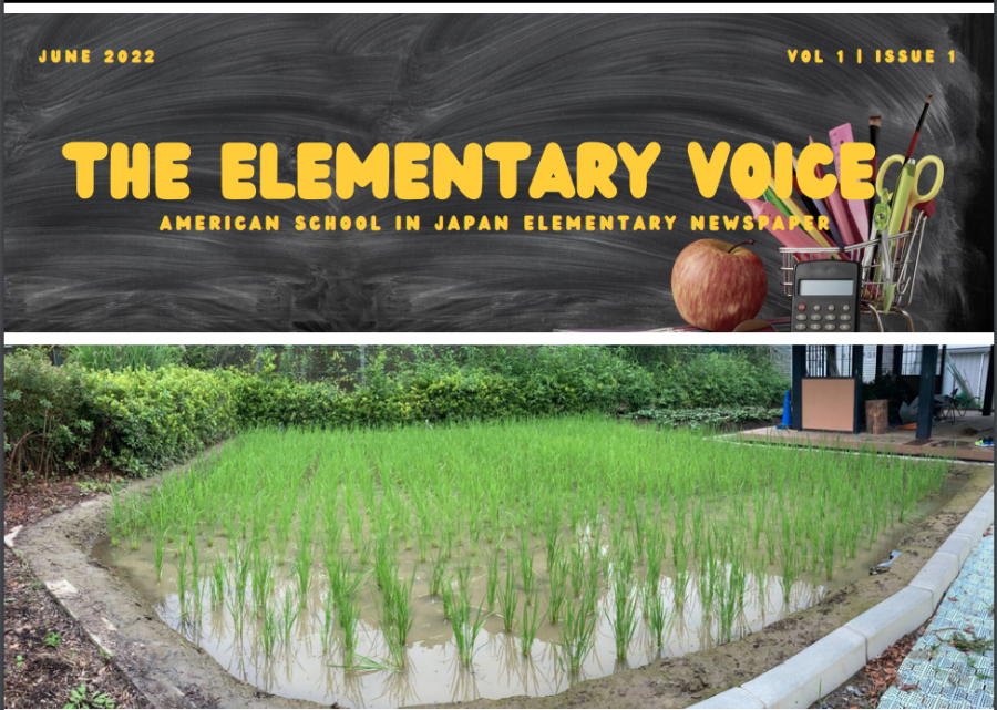 The+Elementary+Voice