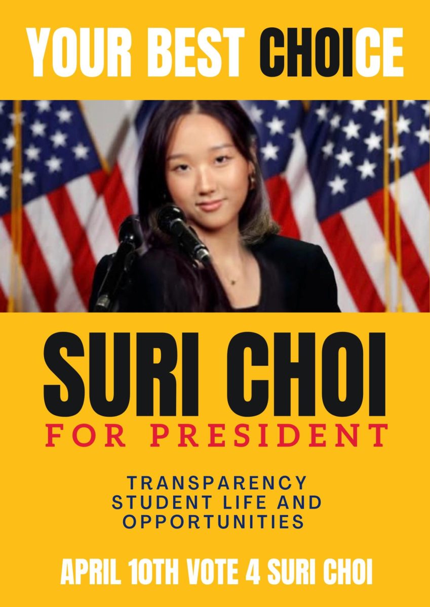 Suri Chois (25) campaign poster