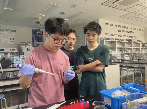 Seniors Noah Chie (left), Aki Gohdo (middle), and Rui Serizawa (right) working on an iGEM project