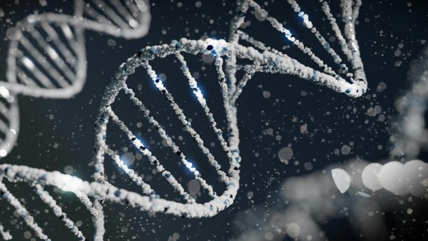 Navigation to Story: Should Gene Editing in Humans be Allowed?
