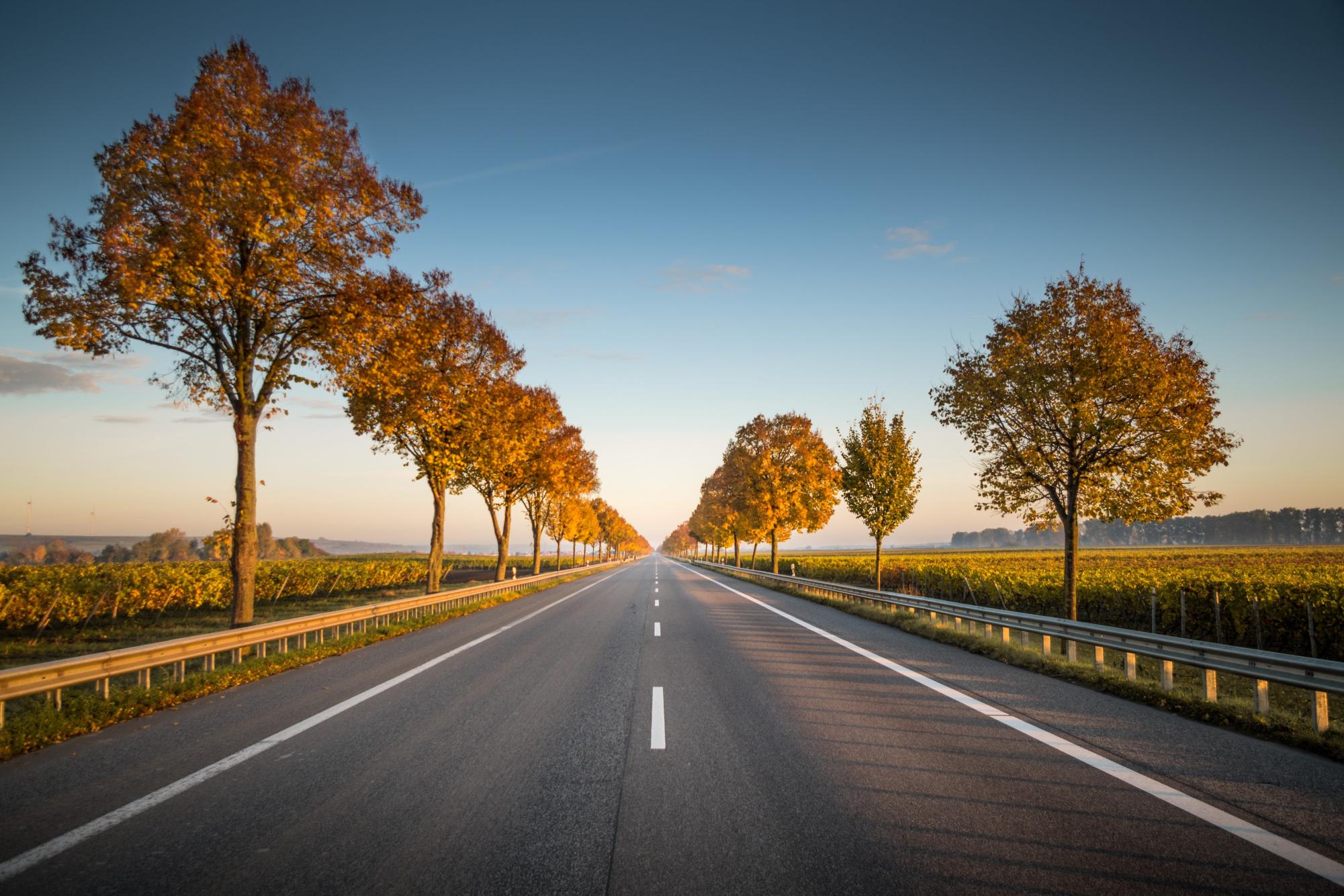 The September Reset: Why the New School Year is Your Ultimate Fresh Start